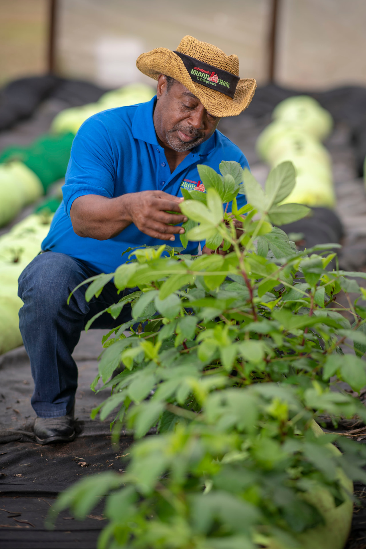Bobby Wilson tending naturally grown crops at Metro Atlanta Urban Farm
