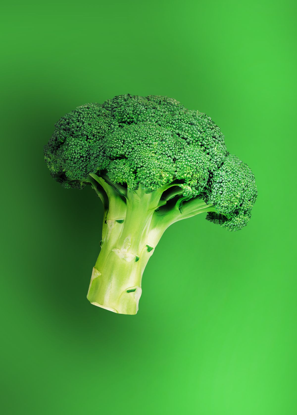 Broccoli