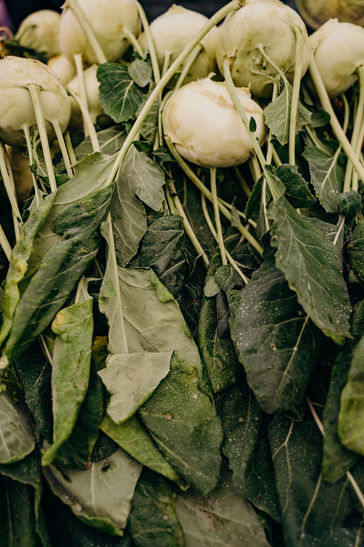 Turnip Greens